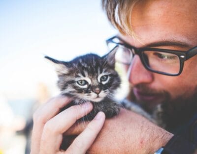 Marco Bianchi – Demonstration Pet Sitter