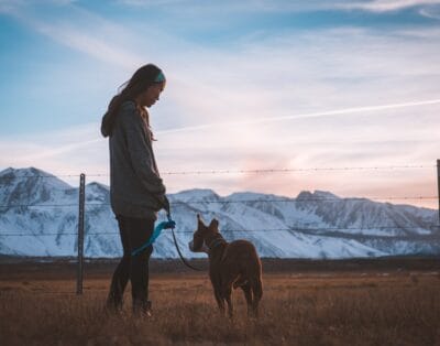 Paws & Paths Academy – Demonstration Pet Walkers and Trainers